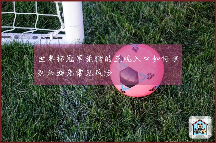 世界杯冠军竞猜的正规入口如何识别和避免常见风险