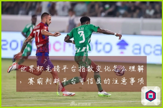 世界杯竞猜平台指数变化怎么理解，赛前判断平台可信度的注意事项