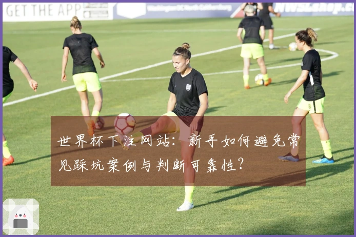 世界杯下注网站：新手如何避免常见踩坑案例与判断可靠性？