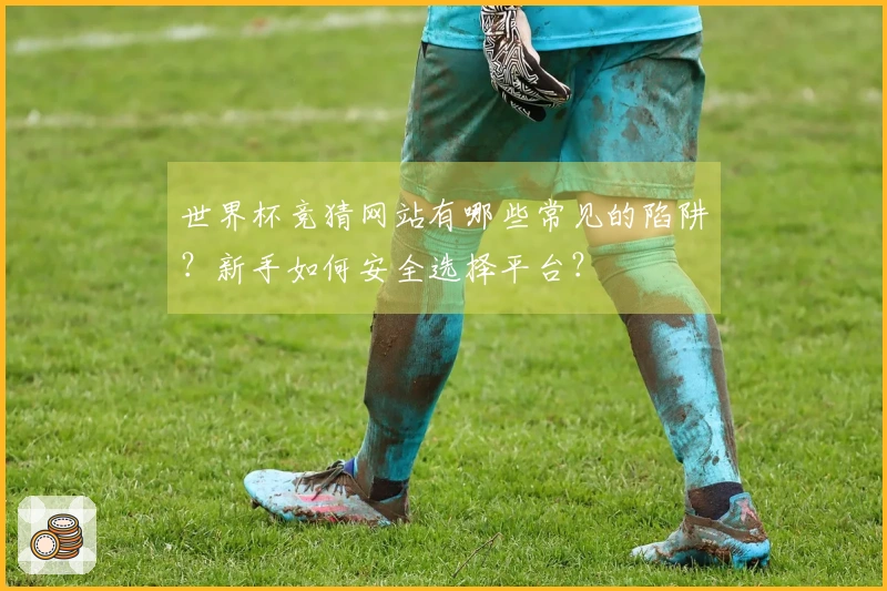 世界杯竞猜网站有哪些常见的陷阱？新手如何安全选择平台？